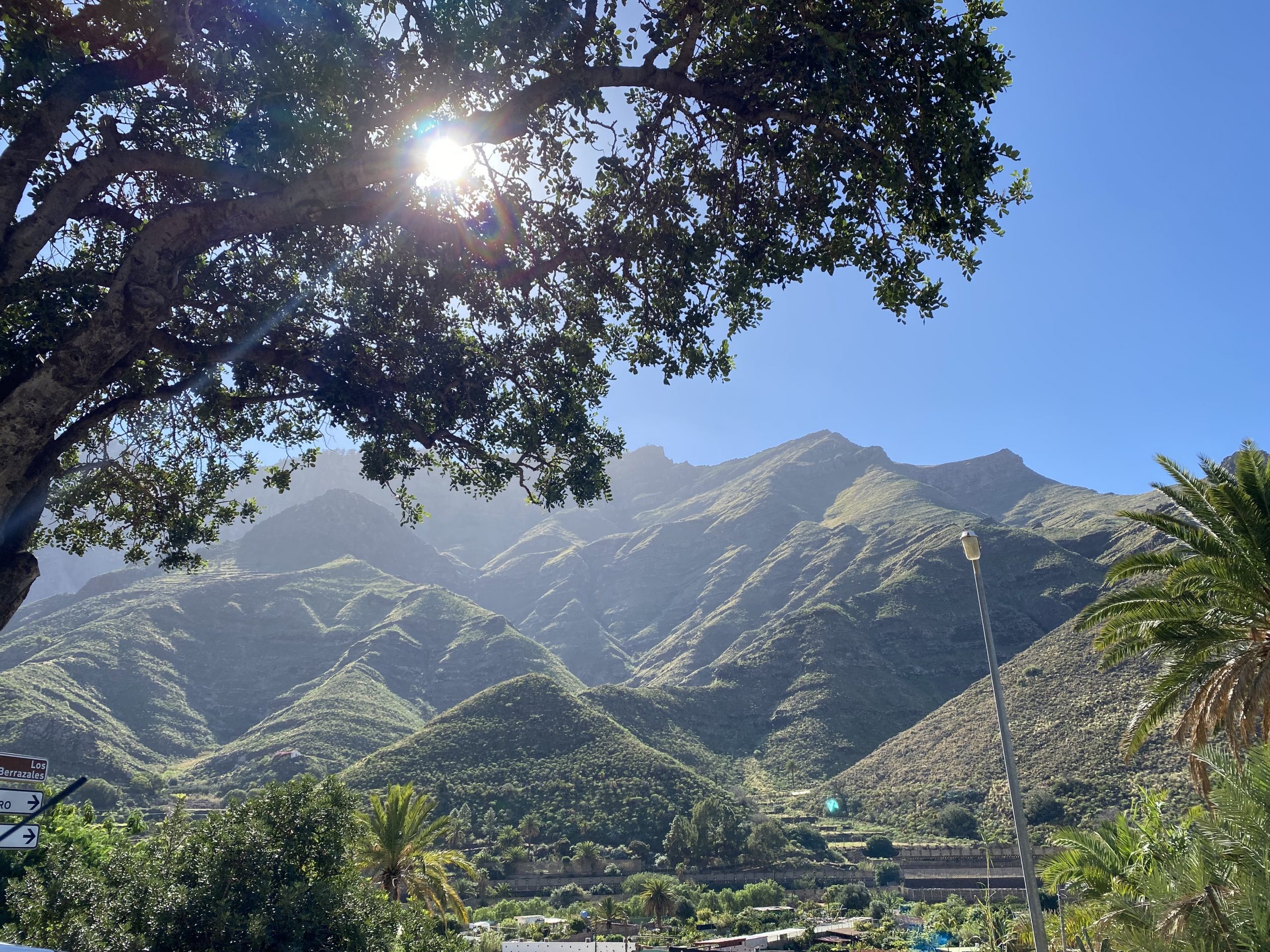 Tamadaba mountains viewed from the Agaete Valley